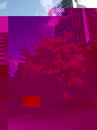 說明: C:\Users\huangzx\Desktop\花兒.jpg